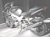 Kickstands-2009-06-12-11-20-32_0042a.jpg