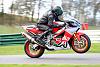 Aprilia RSV Factory....where to buy one?-bol_dor-paint.jpg