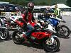 What did you do with your SuperHawk today?-beemer.jpg
