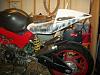 What did you do with your SuperHawk today?-101_4804.jpg