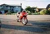 New Guy-0178689-r1-006-1a.jpg