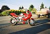 New Guy-0178689-r1-010-3a.jpg