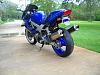 What did you do with your SuperHawk today?-hawk5-400.jpg
