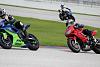 What did you do with your SuperHawk today?-img_1284-large-.jpg