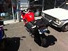 The VTR1000 Superhawk is a SPORTBIKE-img_7146.jpg