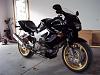 New Member-100_3215-medium-.jpg