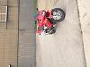 What did you do with your SuperHawk today?-photo6.jpg