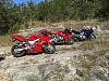 Great week in Arkansas-image.jpg