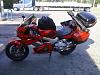 Let's all post a pic of our bikes.-bufftrip2011-014.jpg