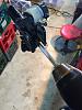 What did you do with your SuperHawk today?-img_9772.jpg