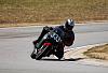 Post Some Action Shots-vir1.jpg