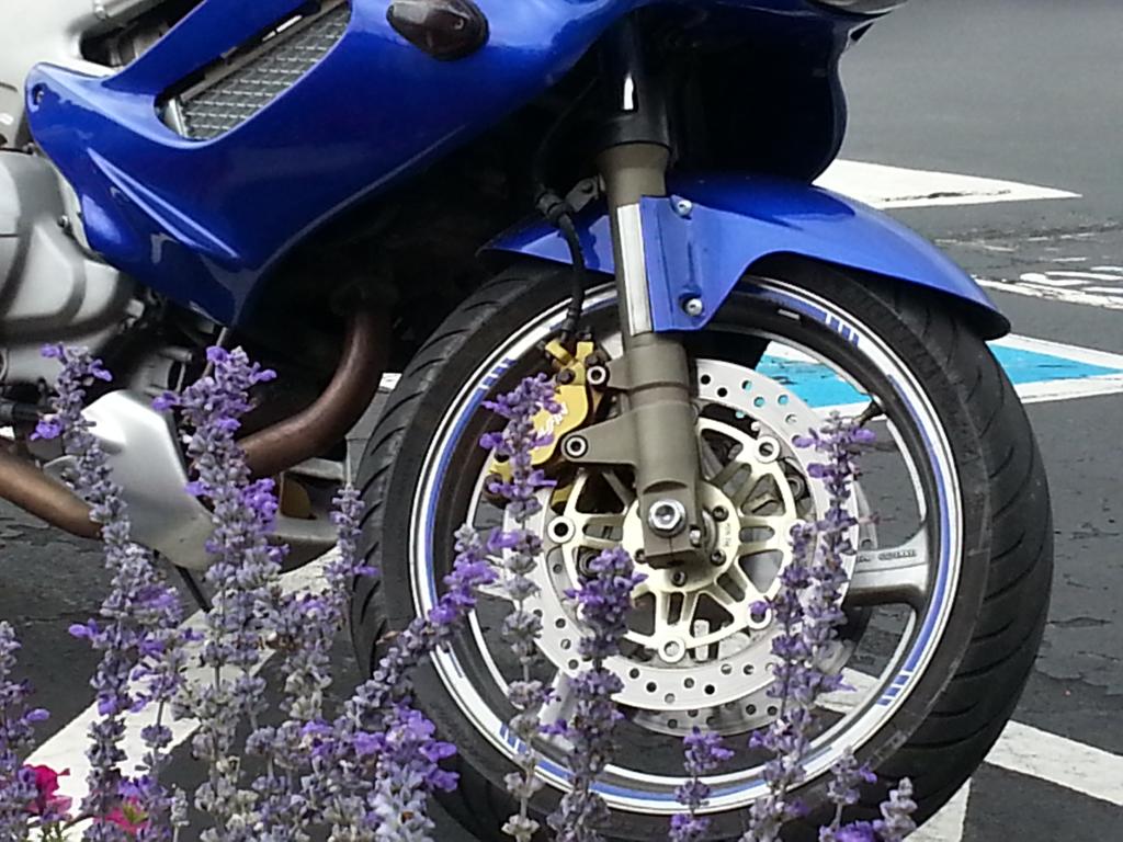 Name:  20140720_123909_zpsfopgk95g.jpg
Views: 27
Size:  129.7 KB