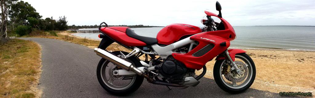 Name:  VTR1000FWide.jpg
Views: 30
Size:  58.2 KB