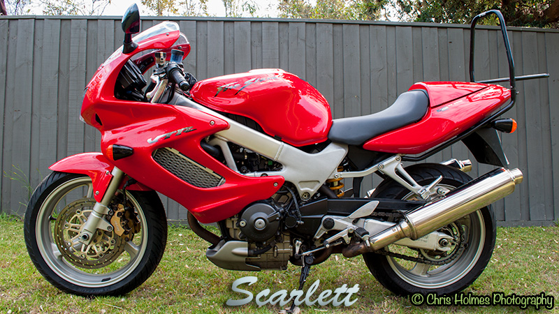 Name:  DSC_7471-VTR-800X450.jpg
Views: 329
Size:  251.0 KB