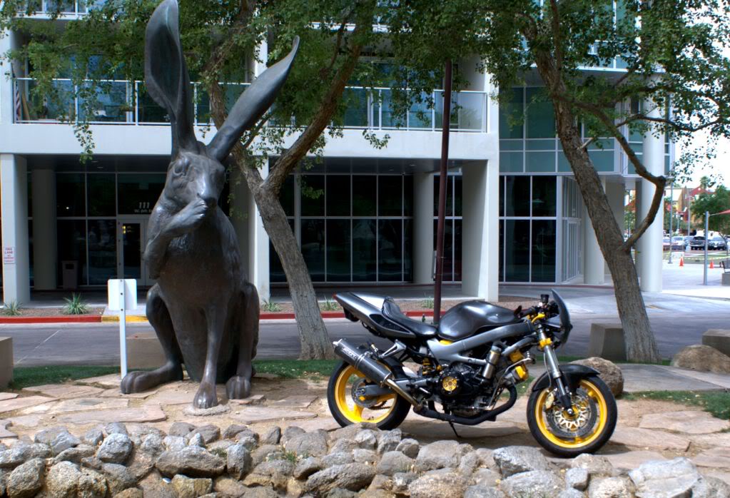 Name:  Bunny4.jpg
Views: 171
Size:  150.4 KB