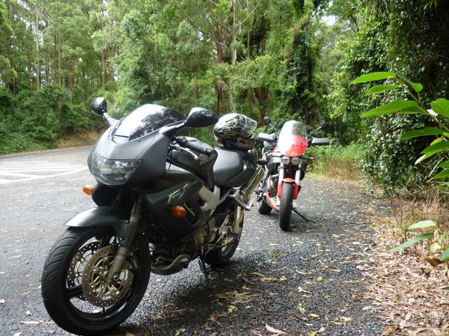 Name:  rides048.jpg
Views: 265
Size:  138.3 KB