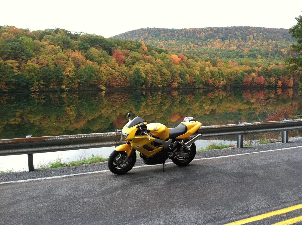 Name:  Bike.jpg
Views: 734
Size:  212.5 KB