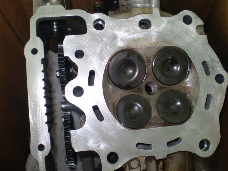 Name:  P3190039.jpg
Views: 174
Size:  88.4 KB
