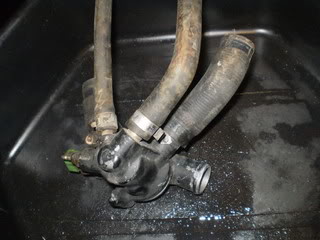 Name:  PA080405.jpg
Views: 226
Size:  26.1 KB