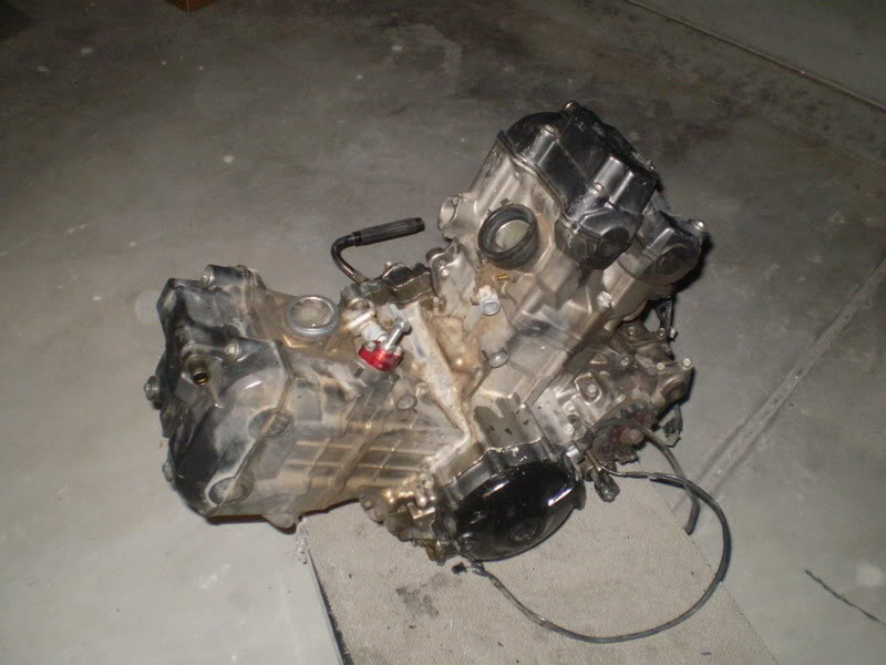 Name:  P9070331.jpg
Views: 286
Size:  75.9 KB