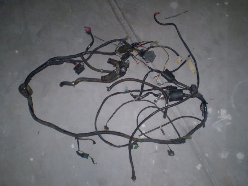 Name:  P9060312.jpg
Views: 306
Size:  61.1 KB