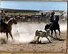 Statistics: Do you own a truck?-kim-roping.jpg