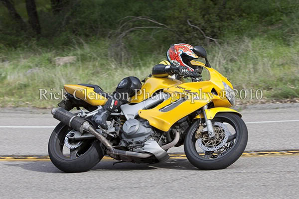 Name:  yellowhawkonpalomar.jpg
Views: 27
Size:  54.6 KB