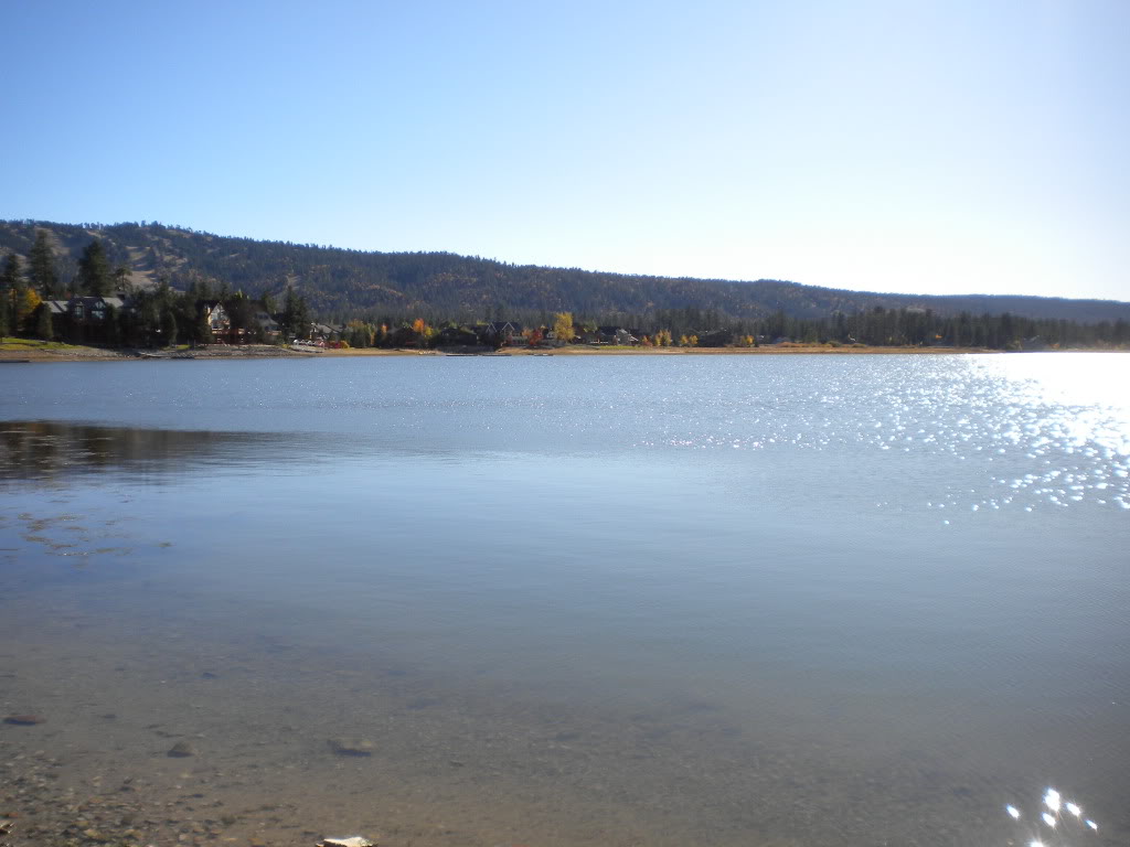 Name:  PalmDesert09091.jpg
Views: 57
Size:  83.9 KB