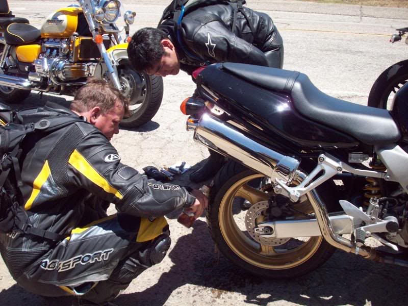 Name:  CrossCountry09841.jpg
Views: 21
Size:  99.5 KB