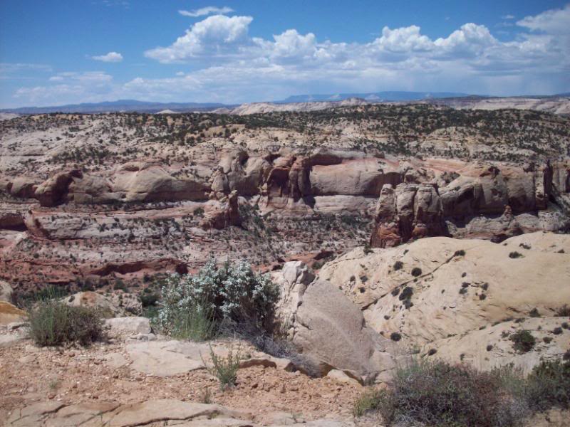 Name:  CrossCountry09544.jpg
Views: 24
Size:  103.5 KB