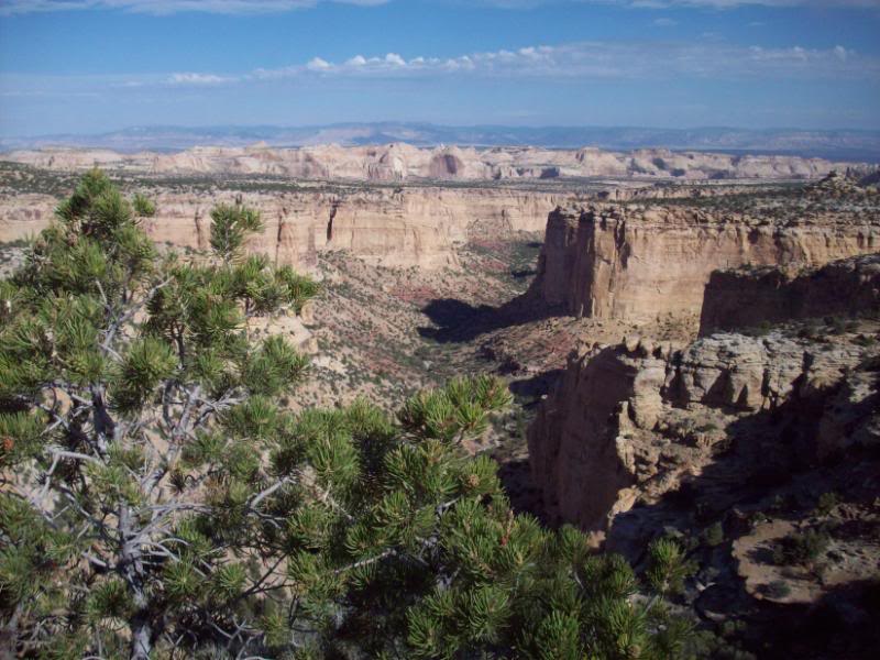 Name:  CrossCountry09435.jpg
Views: 27
Size:  100.9 KB