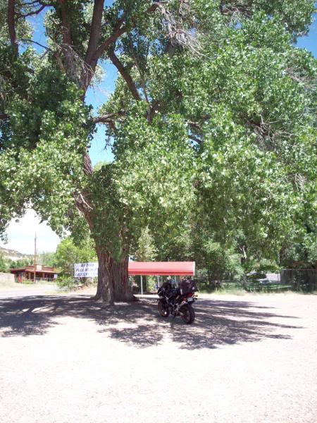 Name:  CrossCountry09510.jpg
Views: 23
Size:  87.7 KB