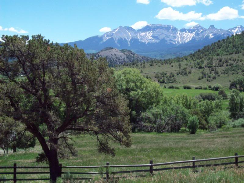 Name:  CrossCountry09318.jpg
Views: 29
Size:  95.6 KB