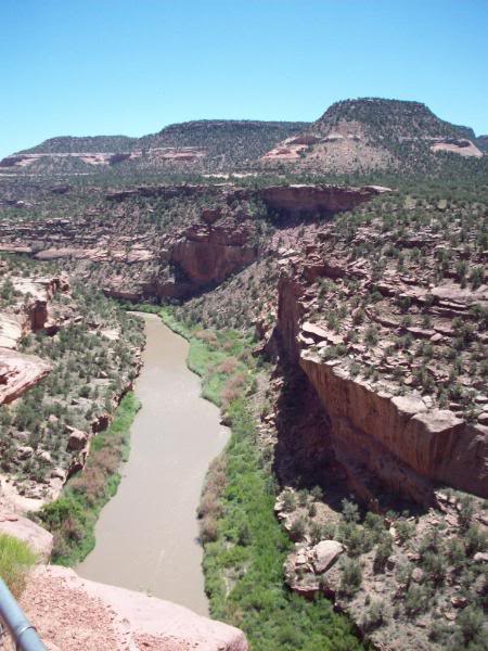 Name:  CrossCountry09357.jpg
Views: 25
Size:  69.7 KB