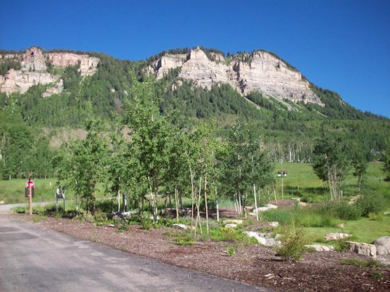 Name:  CrossCountry09186.jpg
Views: 38
Size:  99.8 KB