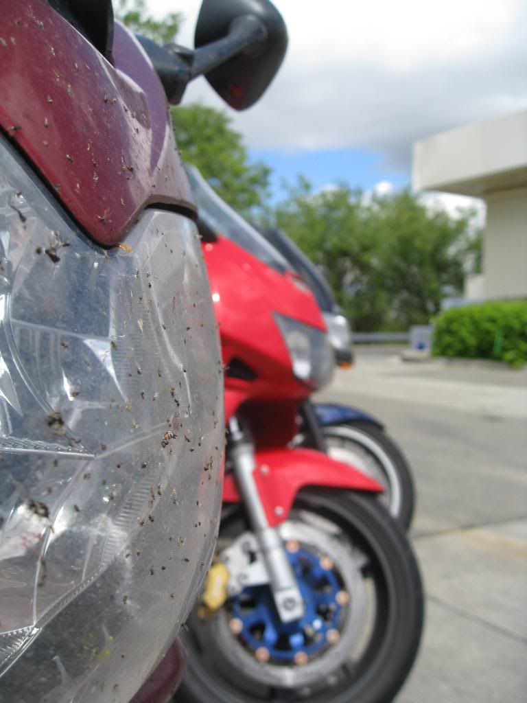 Name:  ironbutt004.jpg
Views: 87
Size:  76.5 KB