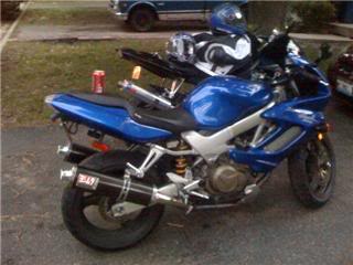 Name:  yosh2.jpg
Views: 40
Size:  15.3 KB