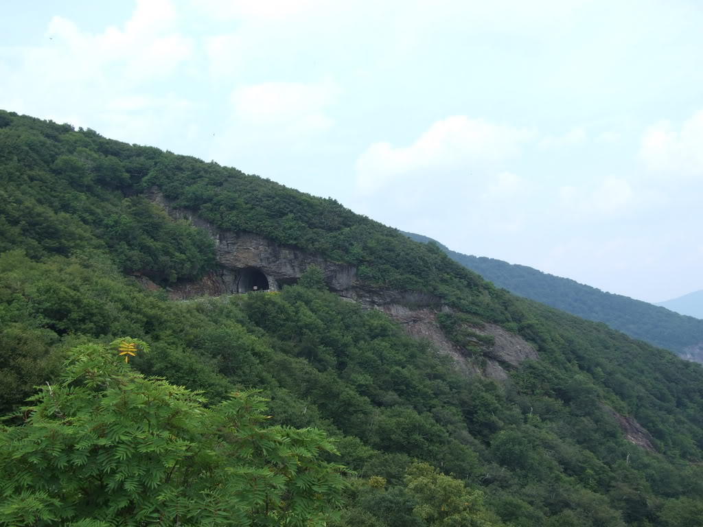 Name:  DSCF0540.jpg
Views: 75
Size:  125.9 KB