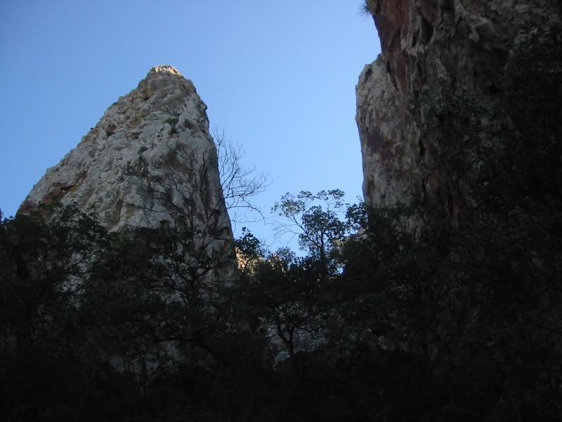 Name:  100-0024_IMG.jpg
Views: 45
Size:  66.0 KB