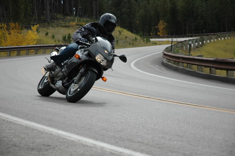 Name:  DSC_1859.jpg
Views: 27
Size:  90.5 KB