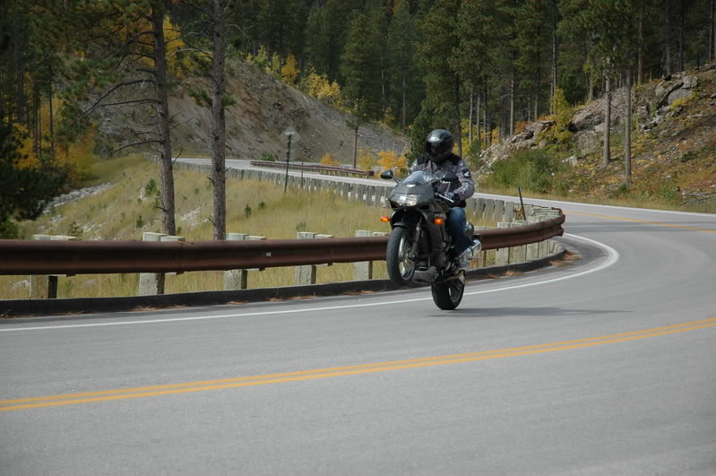 Name:  DSC_1906.jpg
Views: 32
Size:  109.7 KB