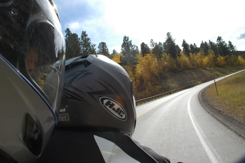 Name:  DSC_1940.jpg
Views: 35
Size:  85.0 KB