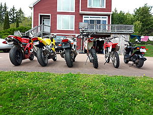 favorite of the pack-20170827_143409.jpg