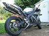 New toy in the stable-picture-247.jpg