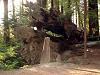 My Northern California Trip on the Hawk-dsc02013-sm.jpg