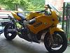 Newbie...just bought a VTR!!-img_0556.jpg