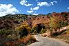 Roads to ride hard...-copy-fall-colors-redrocks-08-large-.jpg