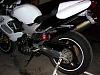 Reincarnation - SHE'S BACK!!!!!!!-dsc00309.jpg
