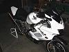 Reincarnation - SHE'S BACK!!!!!!!-dsc00311.jpg