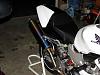 Reincarnation - SHE'S BACK!!!!!!!-dsc00312.jpg